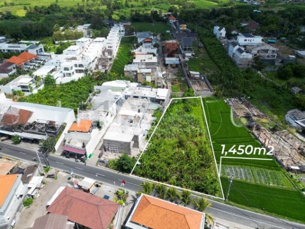 1450m² Land with Rice Field Views in Tumbak Bayuh, Pererenan